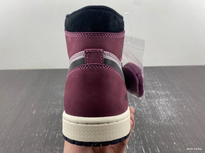 Cheap Air DB2889-500 Jordan 1 Element Gore-Tex 0731